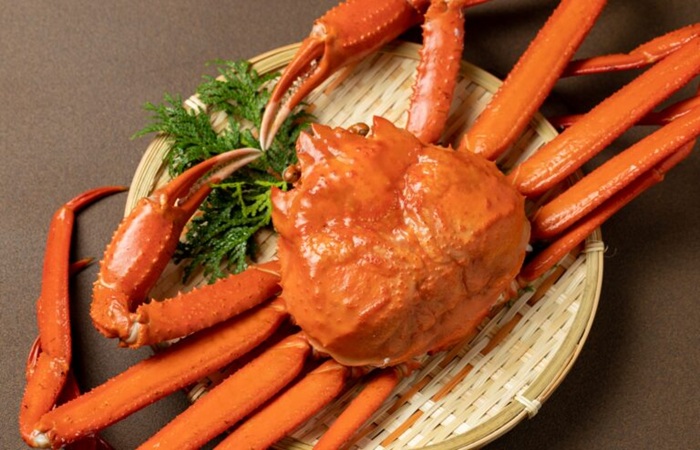 日本｜北陸．福井越前蟹６日